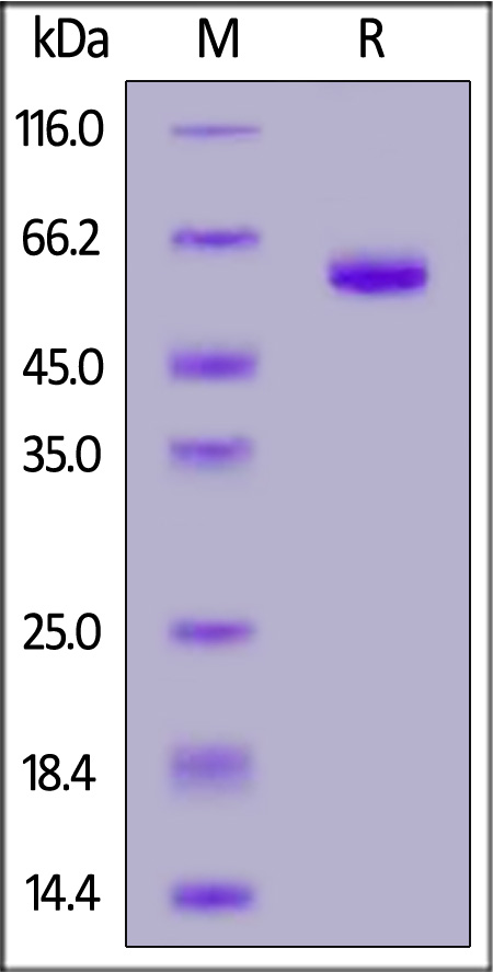 LA3-C52H7-sds