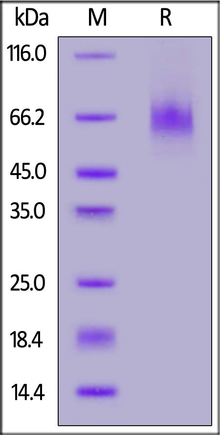 LA3-C82E5-sds