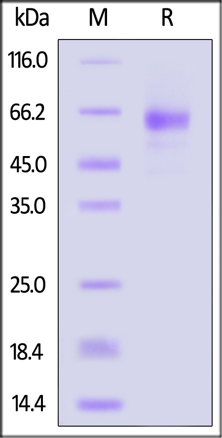 LI3-H52H4-sds