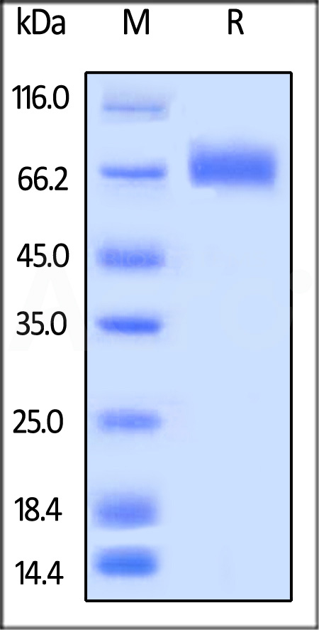 LI3-H82E0-sds