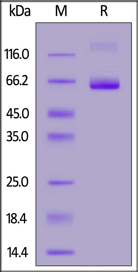 LI4-HF254-sds