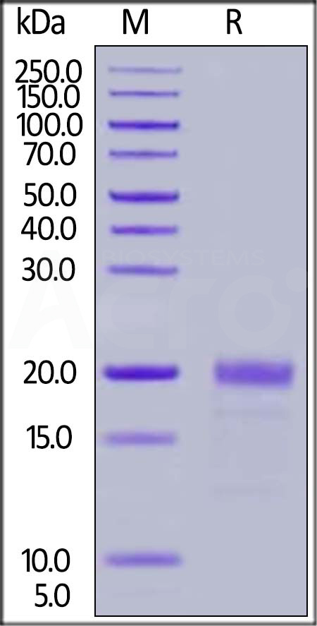 MIF-H82E7-sds