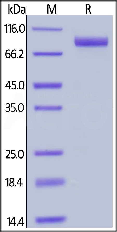 MME-H521b-sds