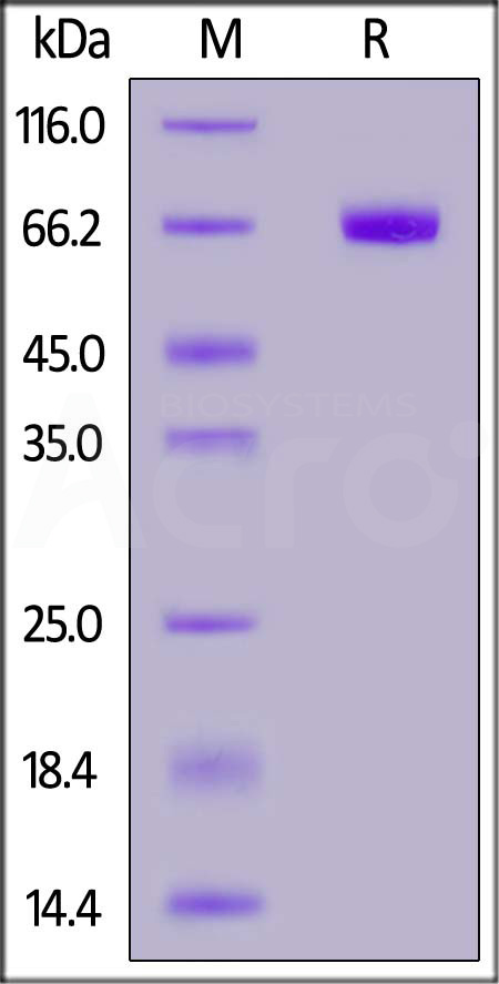 PD1-H82A3-sds