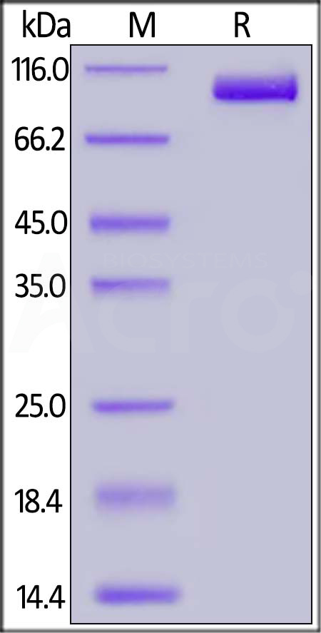 PSA-HF244-sds