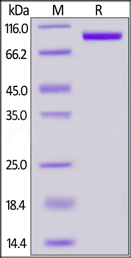 PSA-M5245-sds