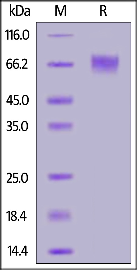 SI9-H82E9-sds