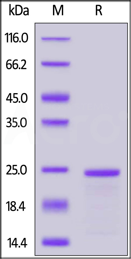 SL5-H5149-sds