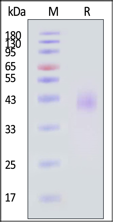 TE8-H82E3-sds