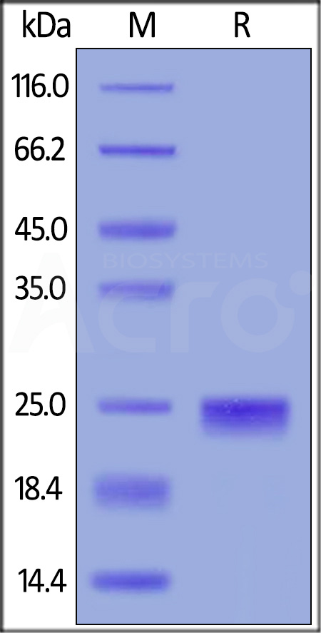 TI2-H5223-sds