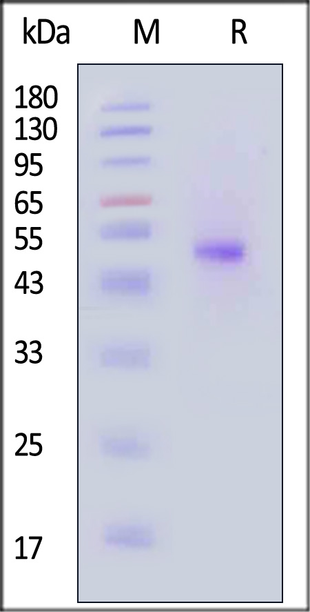 TIT-C82F3-sds