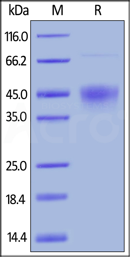 TM3-H82E7-sds