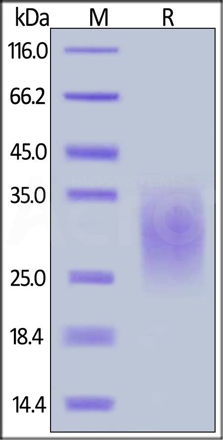 TR2-M52H5-sds