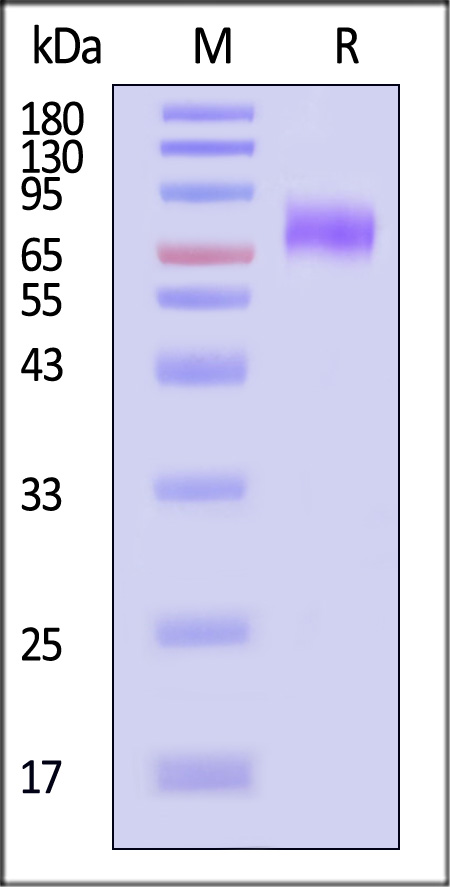 TR3-H52F3-sds