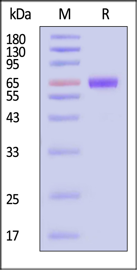 TSR-H82F3-sds