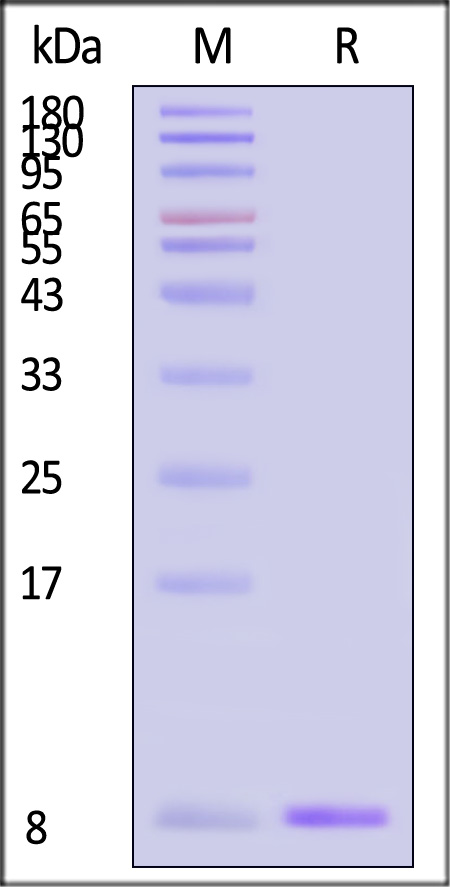 UBN-H5143-sds