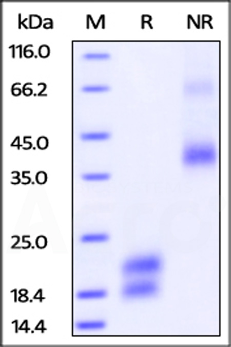 VE1-H82E7-sds