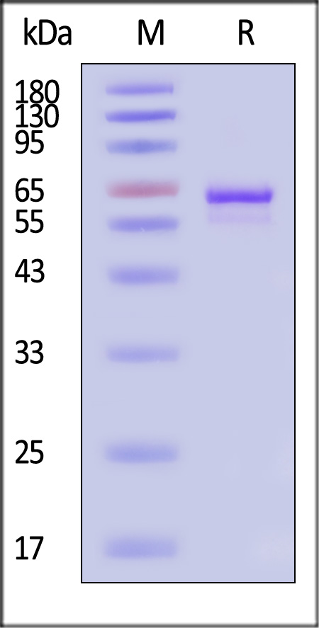 VP3-A5147-sds