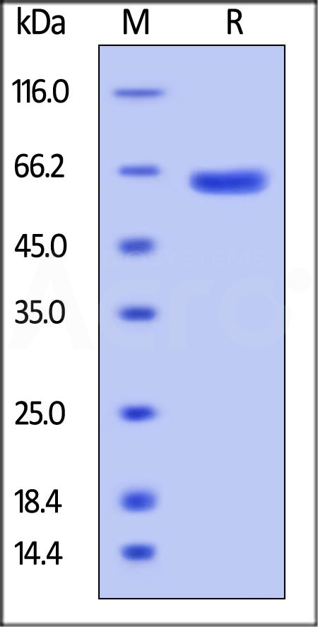 VS8-H82F2-sds