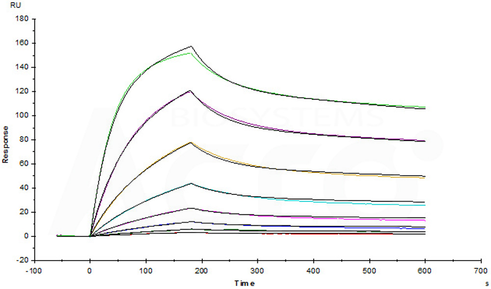  CD47 SPR