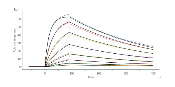  CD3E & CD3D SPR