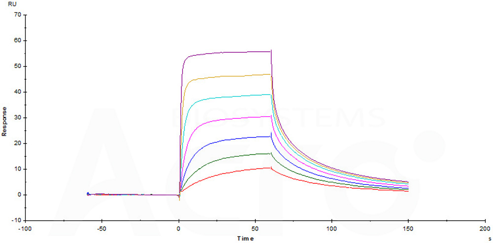  CD3E & CD3D SPR