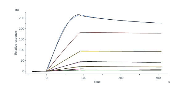  Erythropoietin R SPR