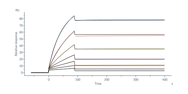  Hemagglutinin (HA) SPR