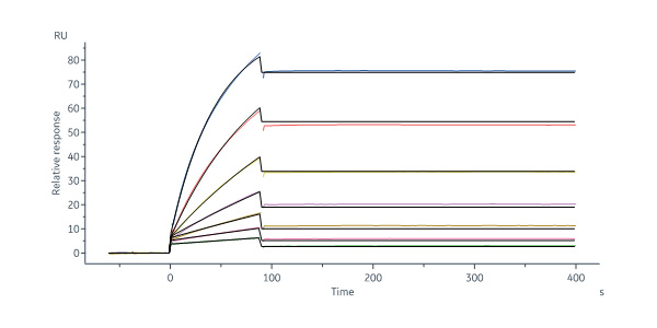  Hemagglutinin (HA) SPR