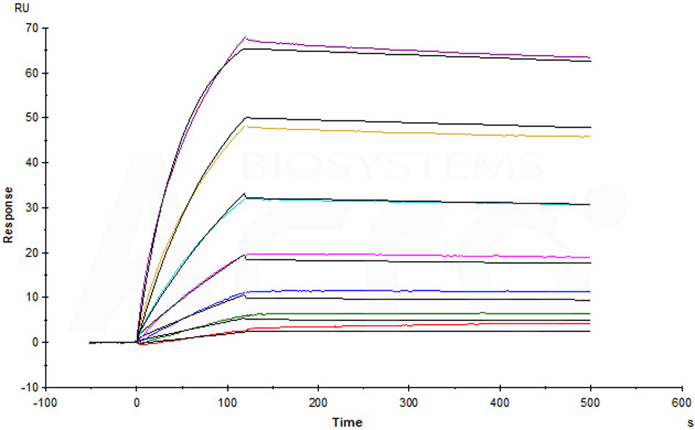  Coagulation Factor III SPR