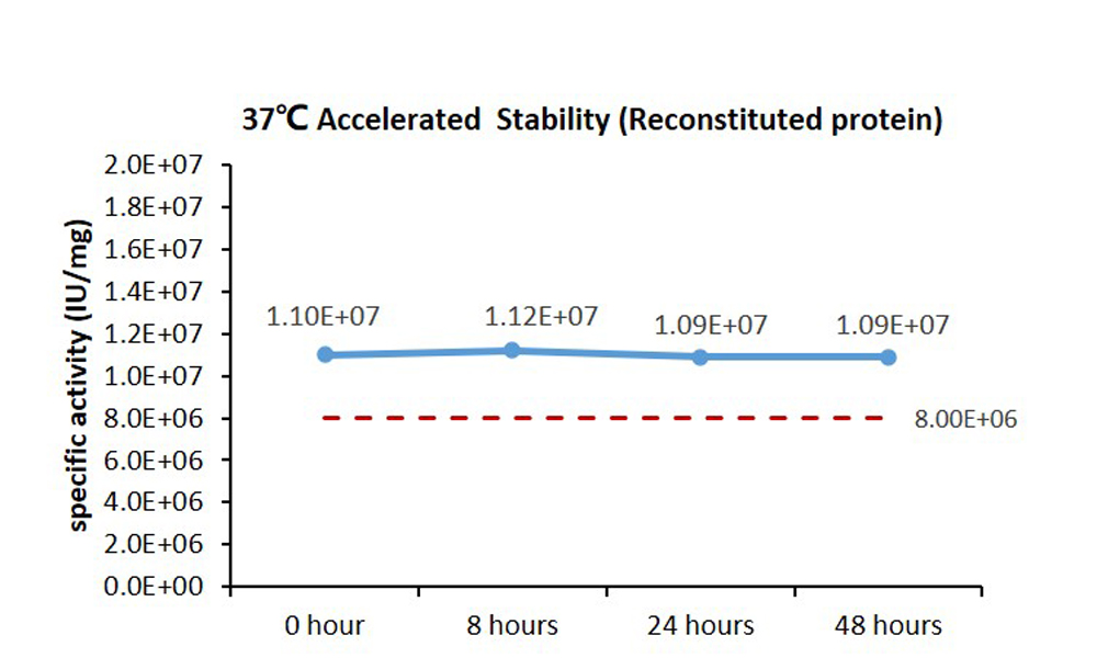  IL-15 STABILITY