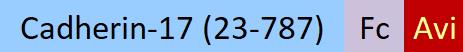 CA7-H82F9-structure