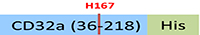 CD1-H5223-structure