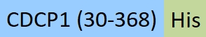 CD1-H52H5-structure