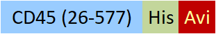 CD5-H82E7-structure