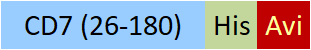 CD7-H82E4-structure