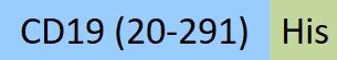 CD9-HA2H3-structure