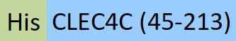 CLC-H5245-structure