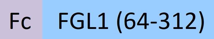 FG1-H5254-structure