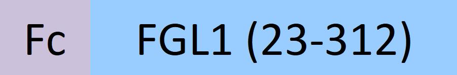 FG1-H5258-structure