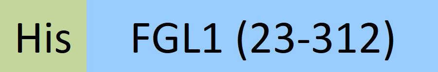 FG1-H52Hy-structure