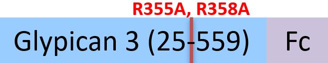 GP3-H5255-structure