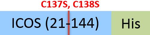 ICS-M52H8-structure