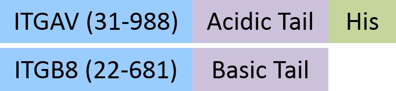 IT8-M52W6-structure