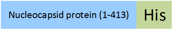 NUN-M52H5-structure