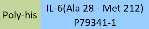 IL-6 Structure