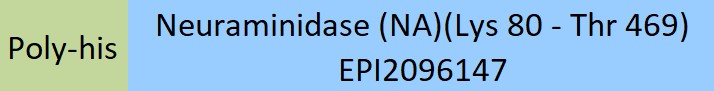 Neuraminidase (NA) Structure