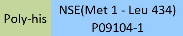 NSE Structure